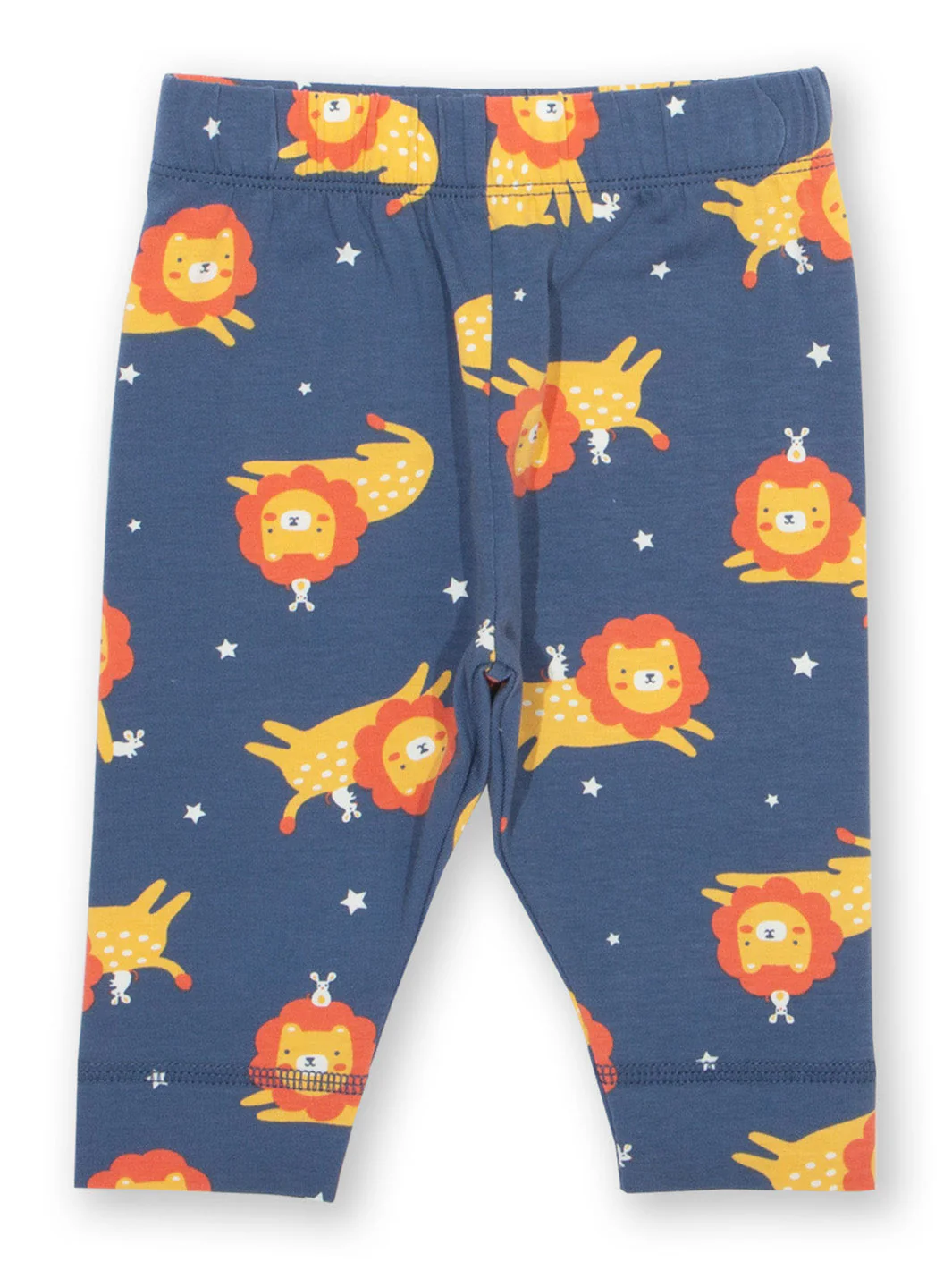 lion leg 1