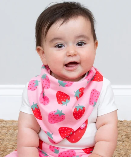 Kite Berry Bib