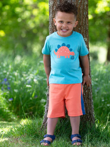 Kite My Pet Steggie T-Shirt