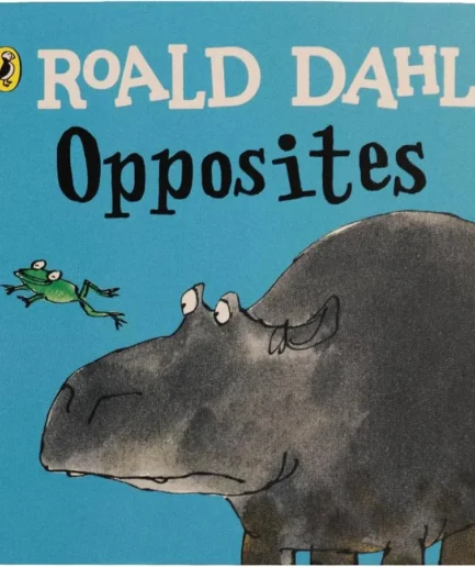 Opposites Board Book Roald Dahl