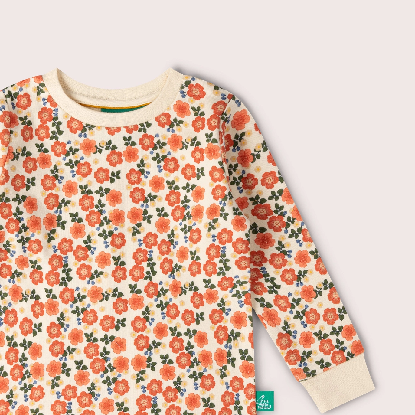 petal 4